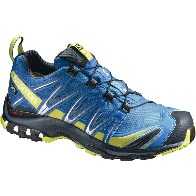 Blue Men\'s Salomon XA PRO 3D GTX Trail Running Shoes | 971-BLSDNU