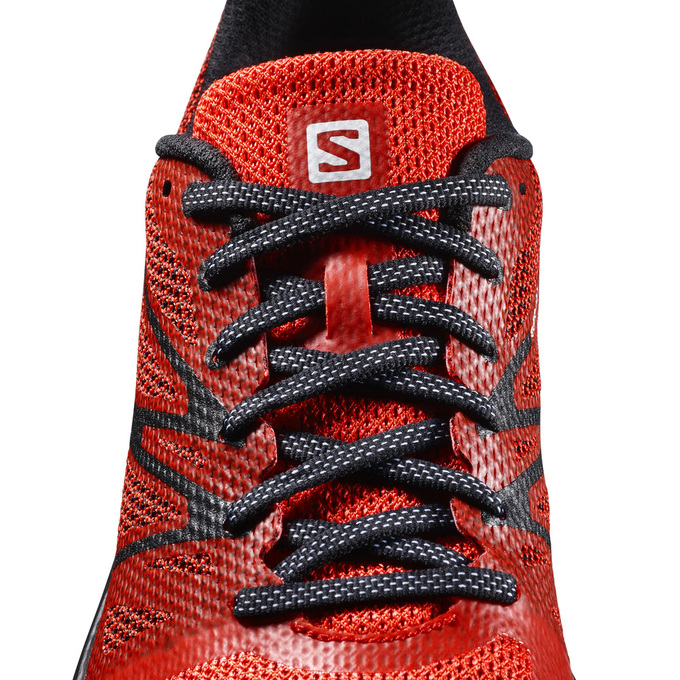 Grey / Yellow Men's Salomon SENSE ESE Trail Running Shoes | 615-VSDKRO