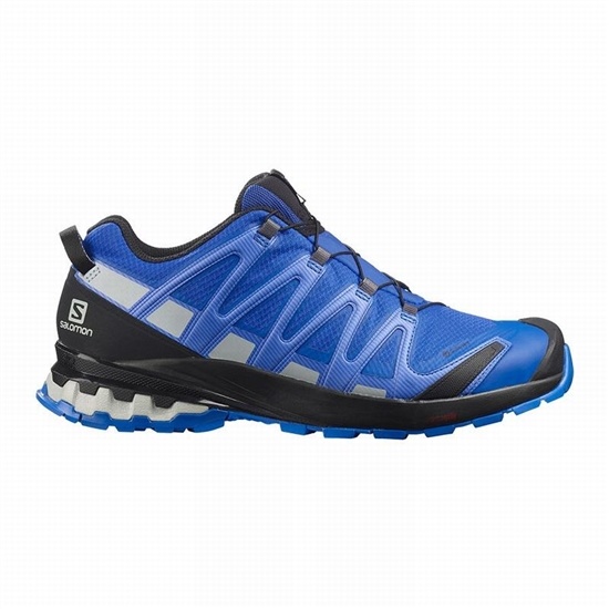 Black / Blue Men's Salomon XA PRO 3D V8 GORE-TEX Trail Running Shoes | 937-VRSLTF