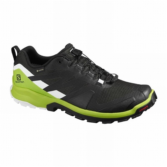 Black / Light Green Men's Salomon XA ROGG GTX Hiking Shoes | 879-GAYHDU