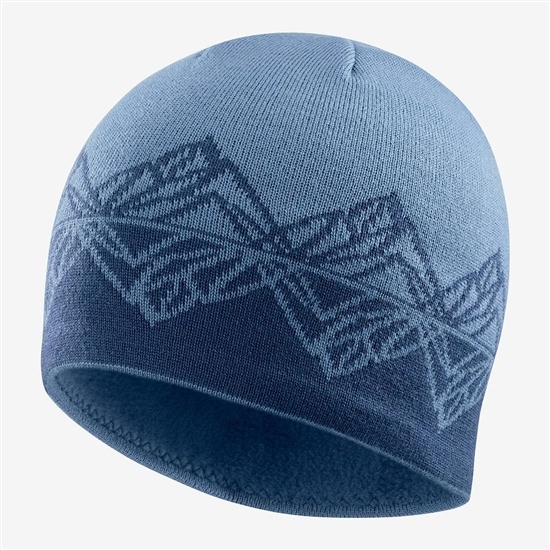 Blue Men's Salomon GRAPHIC Hats | 279-TOYFEC