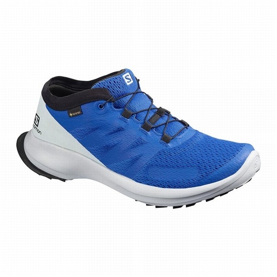 Blue Men's Salomon SENSE FLOW GTX Trail Running Shoes | 610-MOANHC