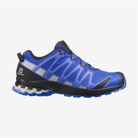 Blue Men's Salomon XA PRO 3D V8 GORE-TEX Trail Running Shoes | 408-WEZXBC