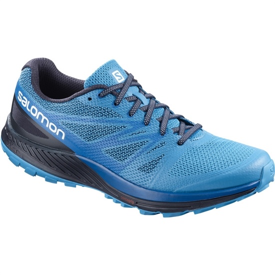 Blue / Navy Men's Salomon SENSE ESE Trail Running Shoes | 213-TKQMWL