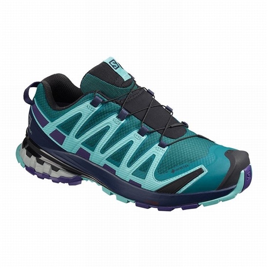 Blue Women's Salomon XA PRO 3D V8 GORE-TEX Trail Running Shoes | 970-DGQPHN