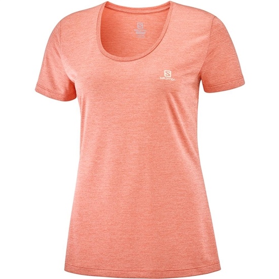 Coral Women's Salomon AGILE SS W T Shirts | 128-SCRFUM