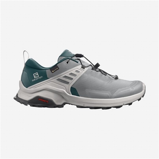 Deep Grey / Turquoise Men's Salomon X RAISE GORE-TEX Hiking Shoes | 103-FWGDIE