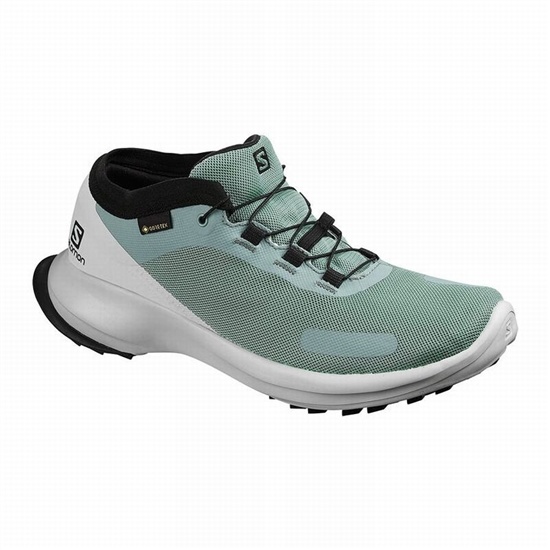 Green / Blue Women's Salomon SENSE FEEL GTX W Trail Running Shoes | 430-SDHBRM