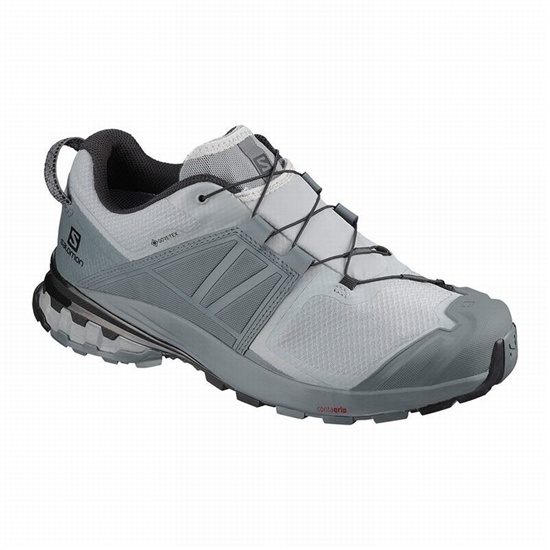 Grey Men's Salomon XA WILD GORE-TEX Trail Running Shoes | 520-ZOWPLJ