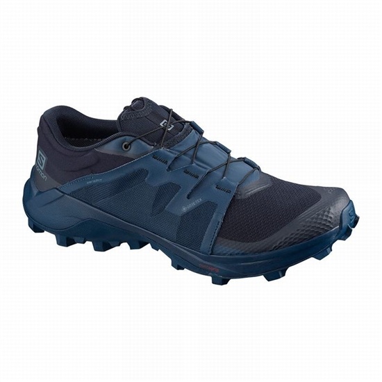 Navy Men's Salomon WILDCROSS GTX Trail Running Shoes | 603-DWCPAY