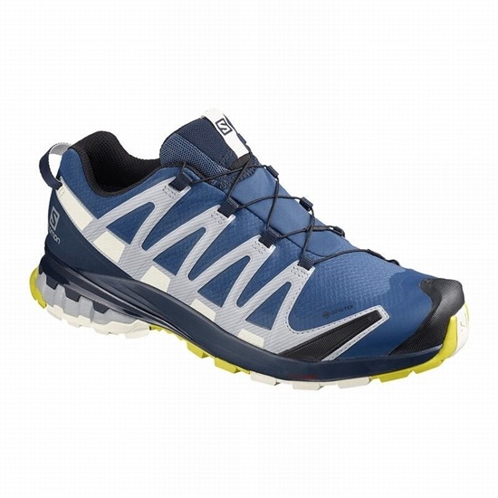 Navy Men's Salomon XA PRO 3D V8 GORE-TEX Hiking Shoes | 139-TVLFQC